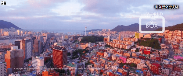 드론으로 촬영한 부산.gif | 인스티즈