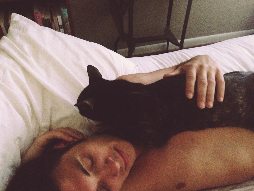 고양이 좋아하는 남자 좋아해요? | 인스티즈