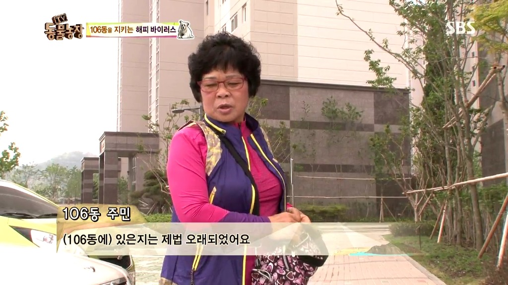 [동물농장] 106동 주민들이 키우는 강아지 | 인스티즈