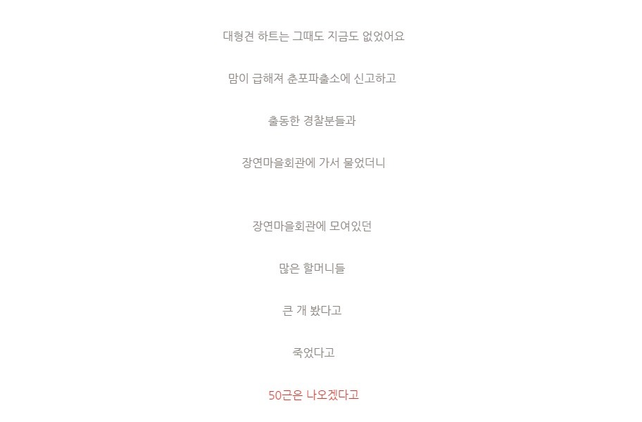잃어버린 강아지를 누가 잡아먹음 | 인스티즈