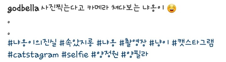 양정원 인스타그램 업뎃 | 인스티즈