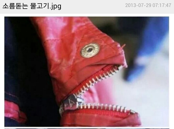 다들 이 물고기에게 먹혀보셨죠?? | 인스티즈