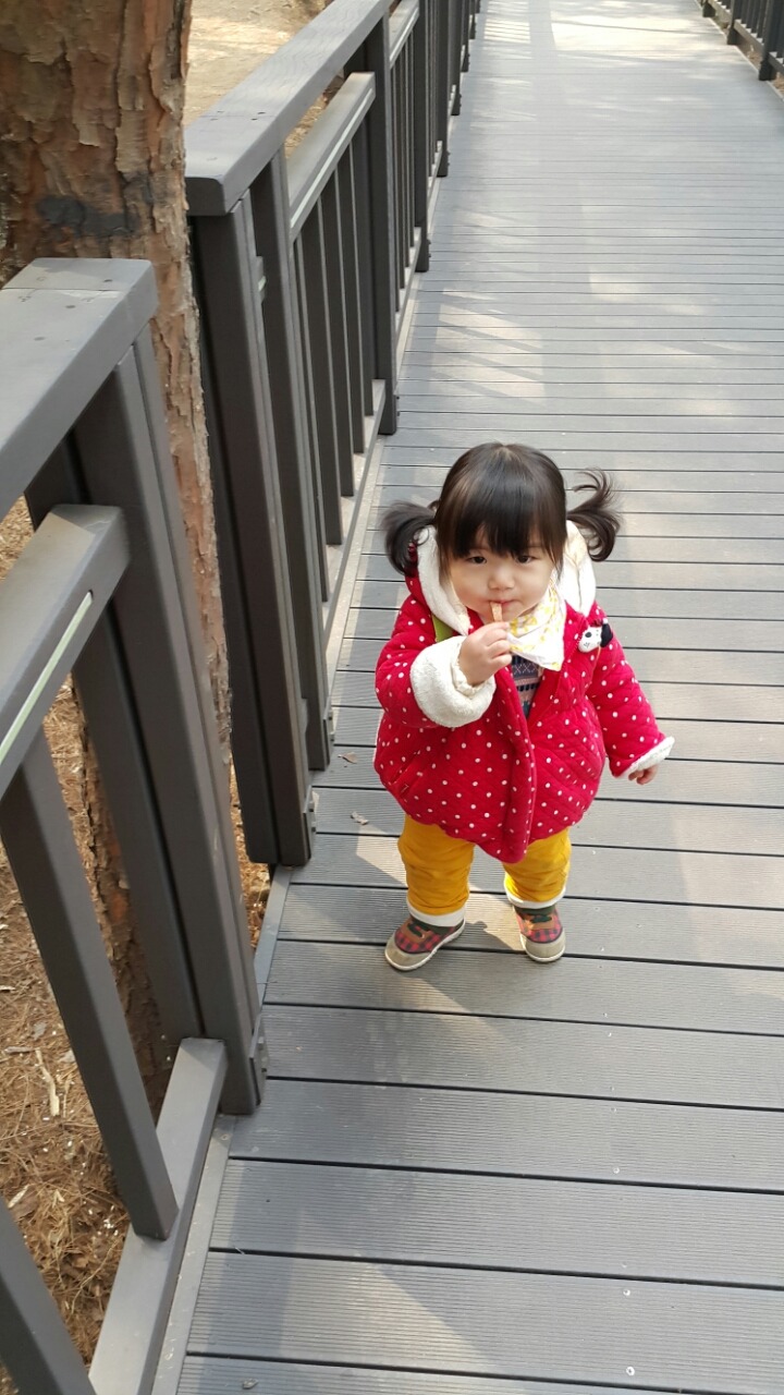간식거리 이미지