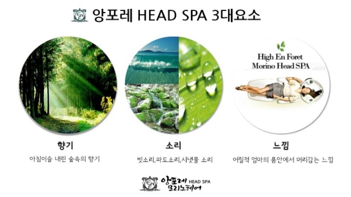 앙포레 이미지