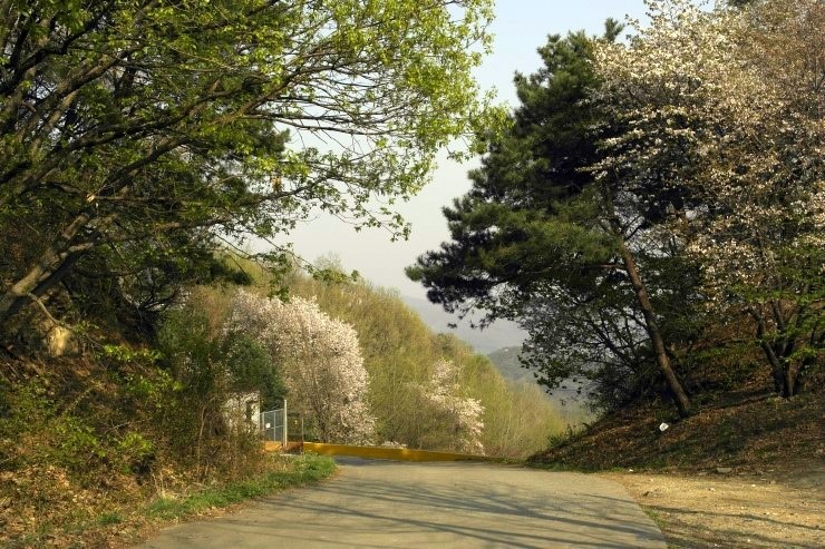 산사가는길 이미지