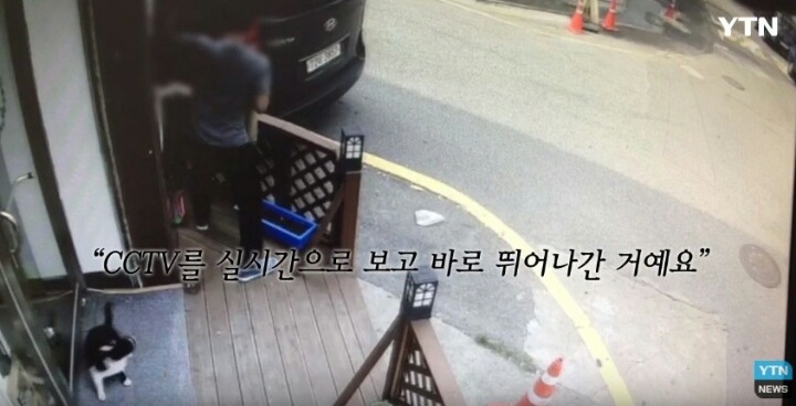 분노주의)웃는 얼굴로 새끼 고양이 내던지고 도망간 미친넘 | 인스티즈