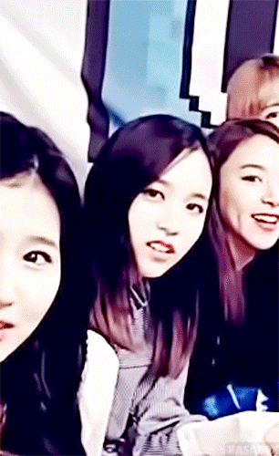 [트와이스] 팬들한테 애교부리는 미나랑 사나 | 인스티즈