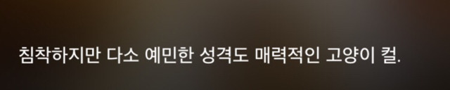 특이한 곳에 털이 자라는 까칠한 매력의 고양이 | 인스티즈