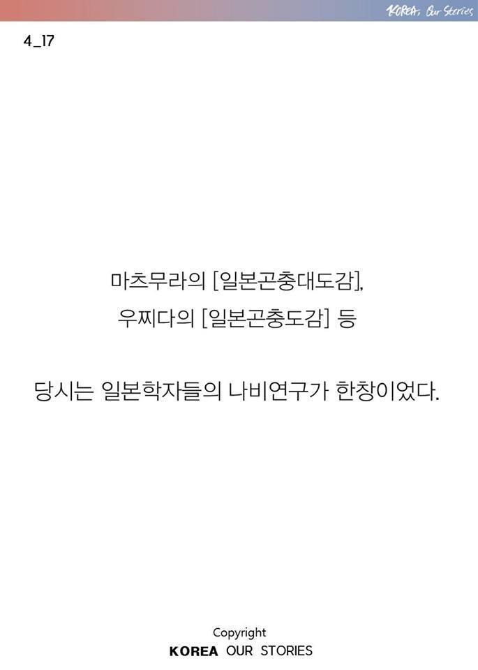 한국에서 나비가 사라졌다 | 인스티즈