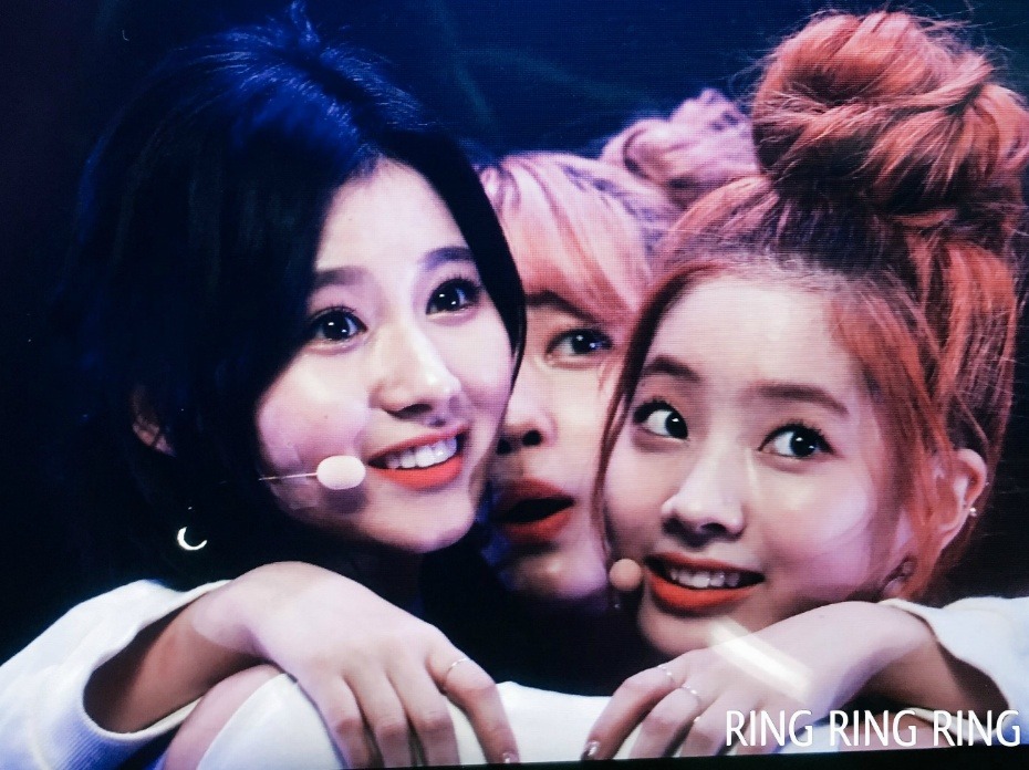 [트와이스] 눈에서 꿀 흐르는 사나.gif | 인스티즈