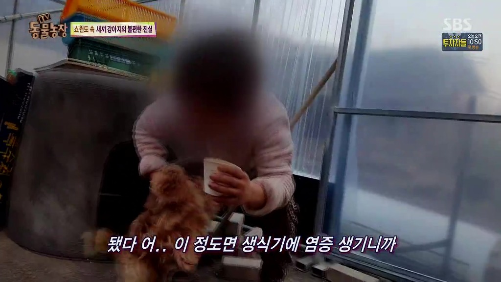 충격과 공포의 오늘자 동물농장(혐오주의) | 인스티즈