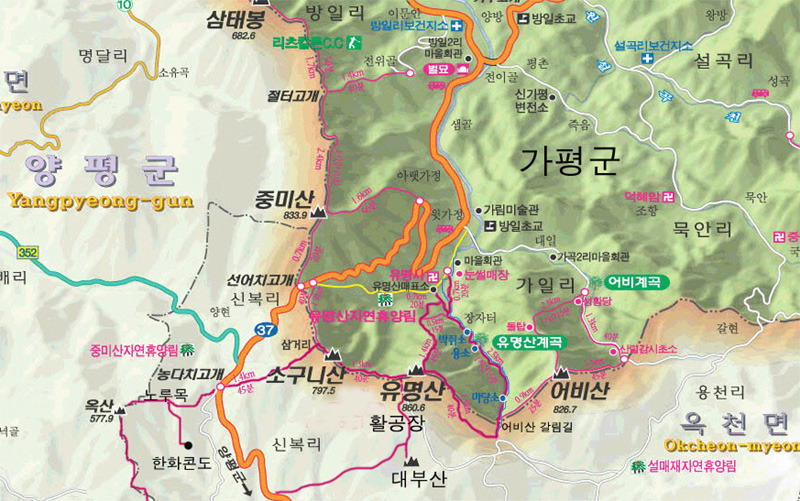 유명산 이미지