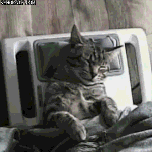 안마 받으면서 주무시는 고양이옹. gif | 인스티즈