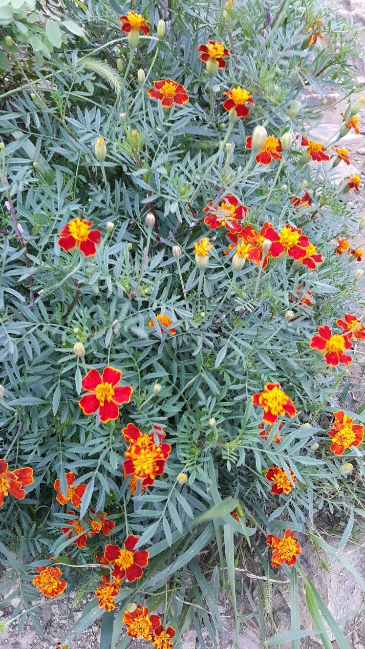 소래산정상 이미지
