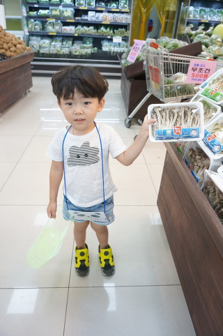 대백야채 이미지