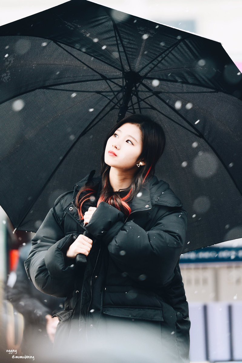 [트와이스] 첫눈속에 피는 사나 | 인스티즈