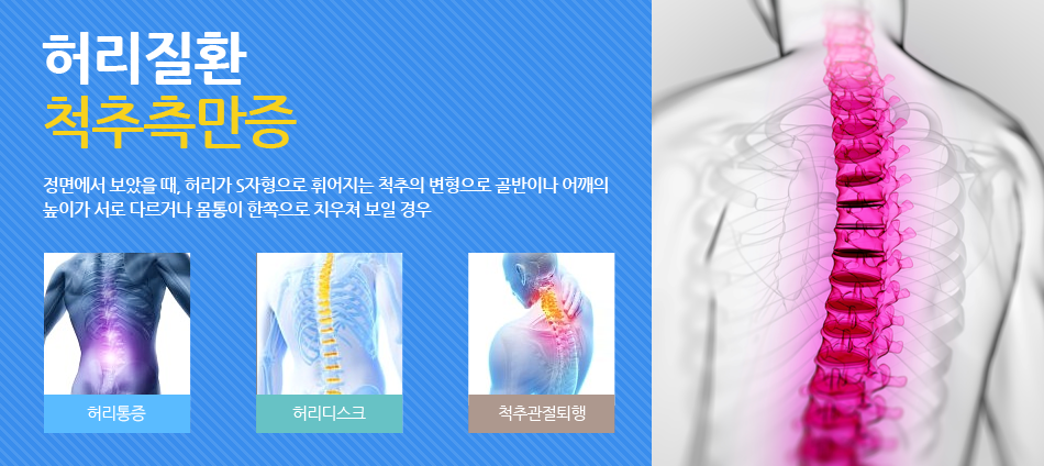 현대인이 많이 앓고 있는 질병중의 하나 | 인스티즈
