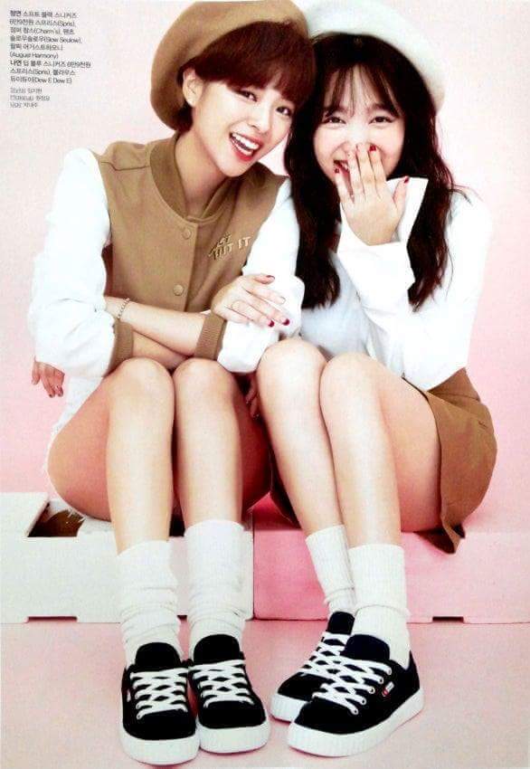 정연 이미지