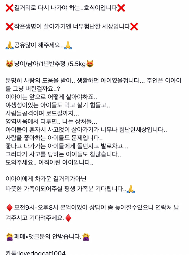 안락사 위기인 애들 보구가줘!!ㅠㅠ | 인스티즈