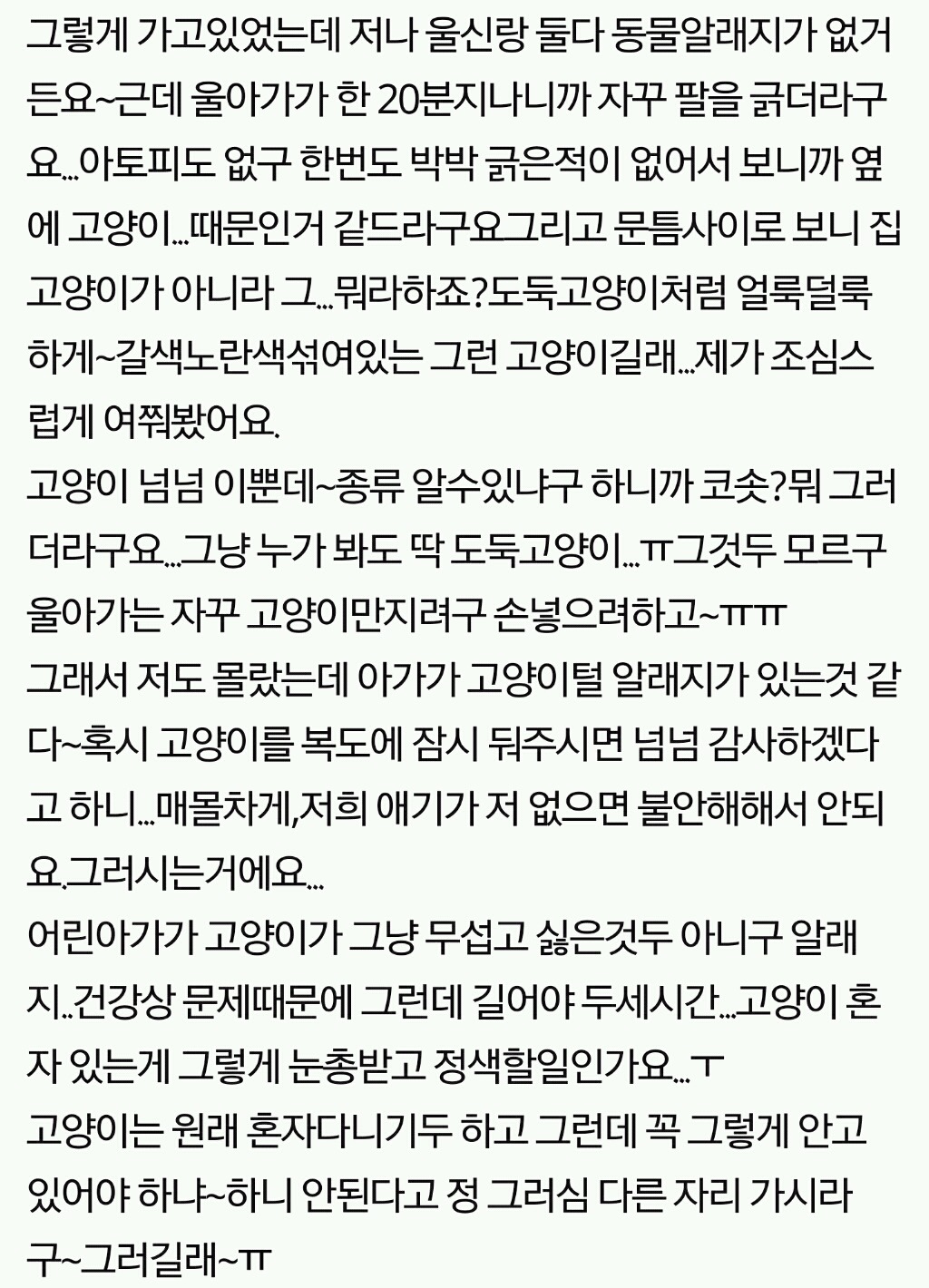 고양이 데리고 기차탄 아가씨...정말 죽을뻔 했네요... | 인스티즈