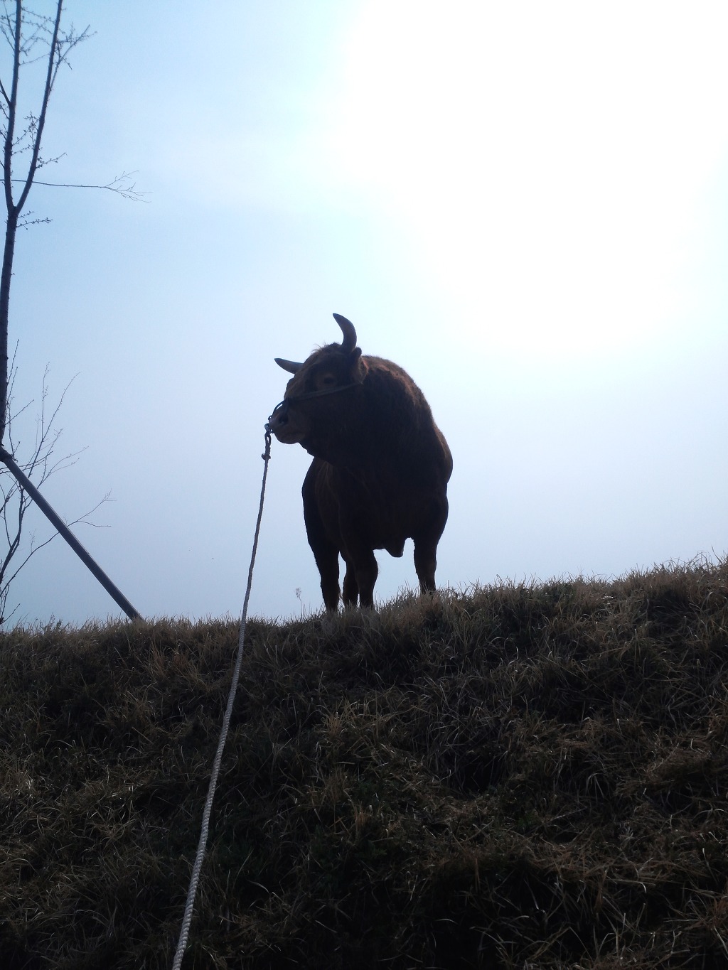 삼일축산 이미지