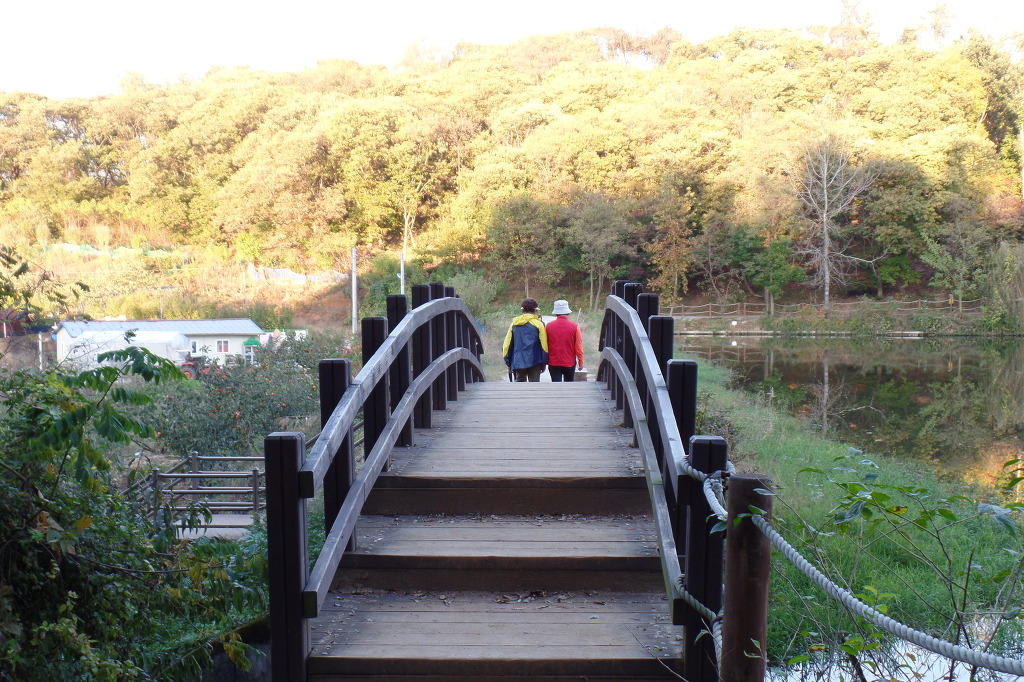 전주 오송제 호수에 비추인 동화 속 가을 풍경 사진을 전체 확대한 모습 감상 | 인스티즈