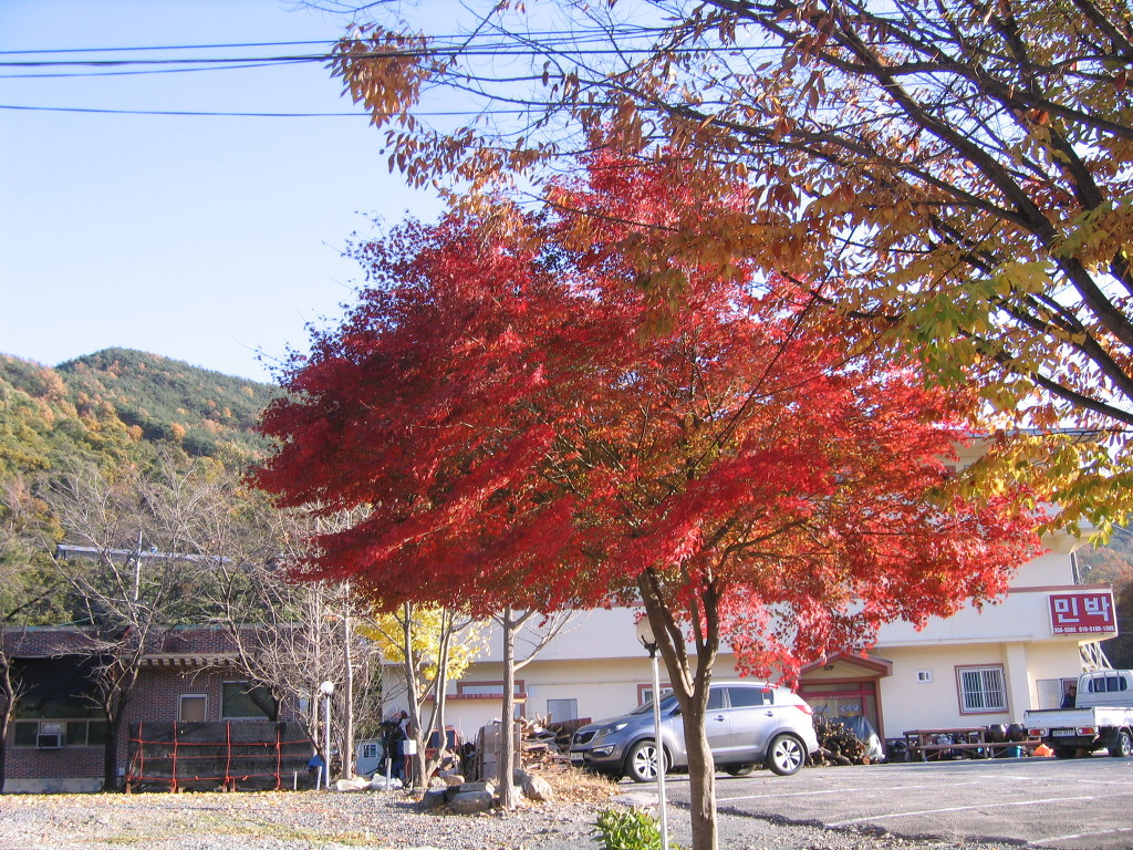 산외이발소 이미지