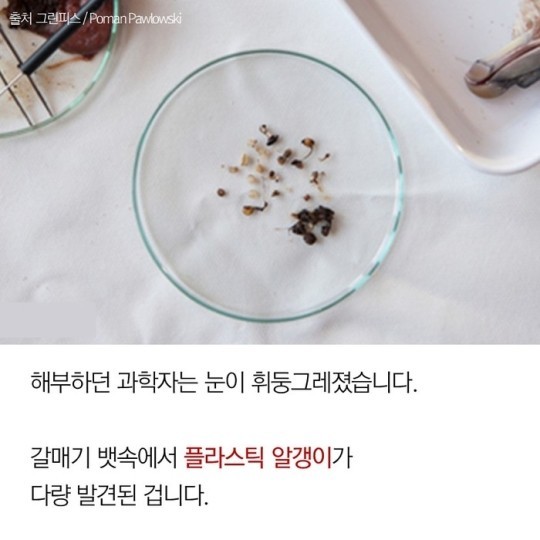 죽음의 알갱이 ...가생이펌 | 인스티즈