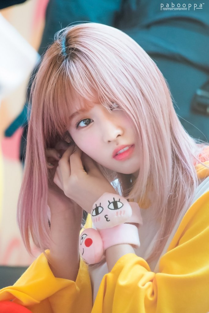 [트와이스] 쿠키몬스터 안경을 쓴 모모 | 인스티즈