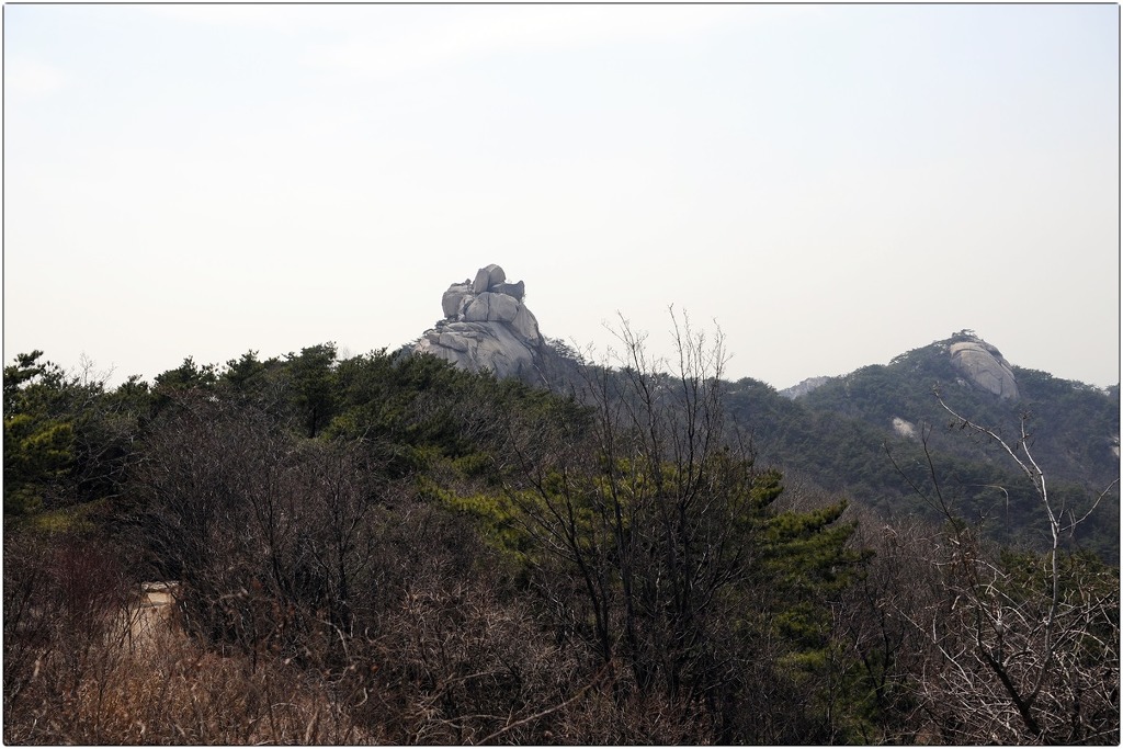 김규호 이미지