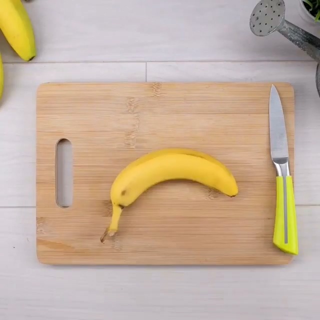 집에서 손 쉽게 키위바나나 재배하는 법.jpgif | 인스티즈