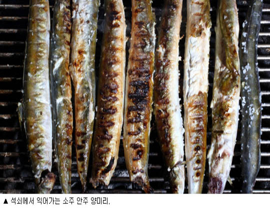 동해안식당 이미지