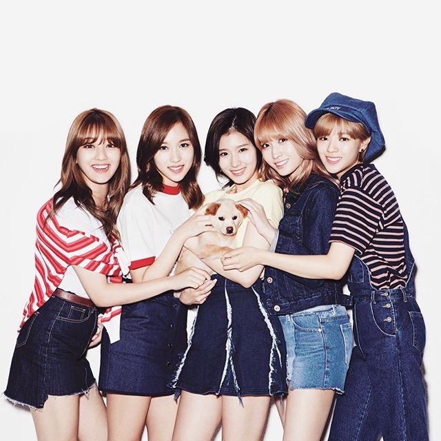 개와이스.jpg | 인스티즈