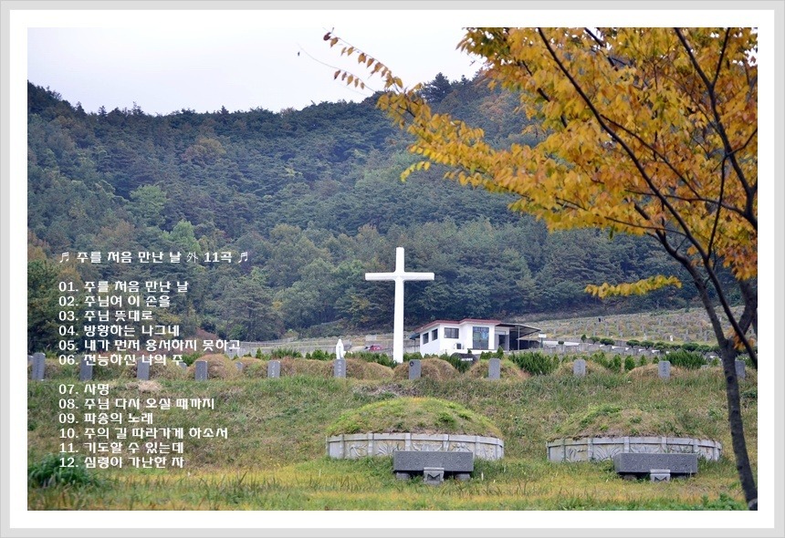 (주)처음 이미지