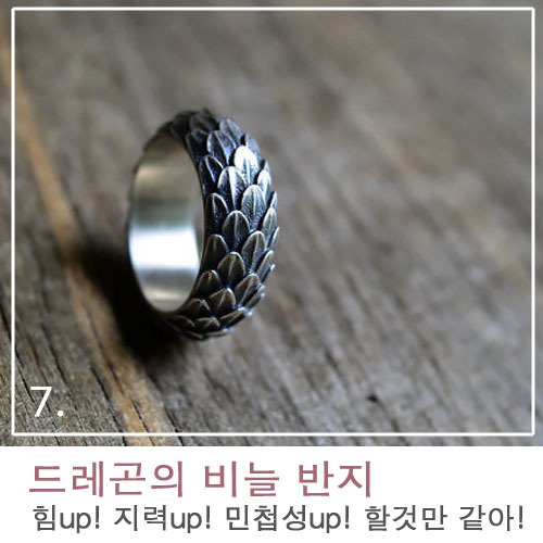 드레곤 모양의 디자인 TOP10 | 인스티즈