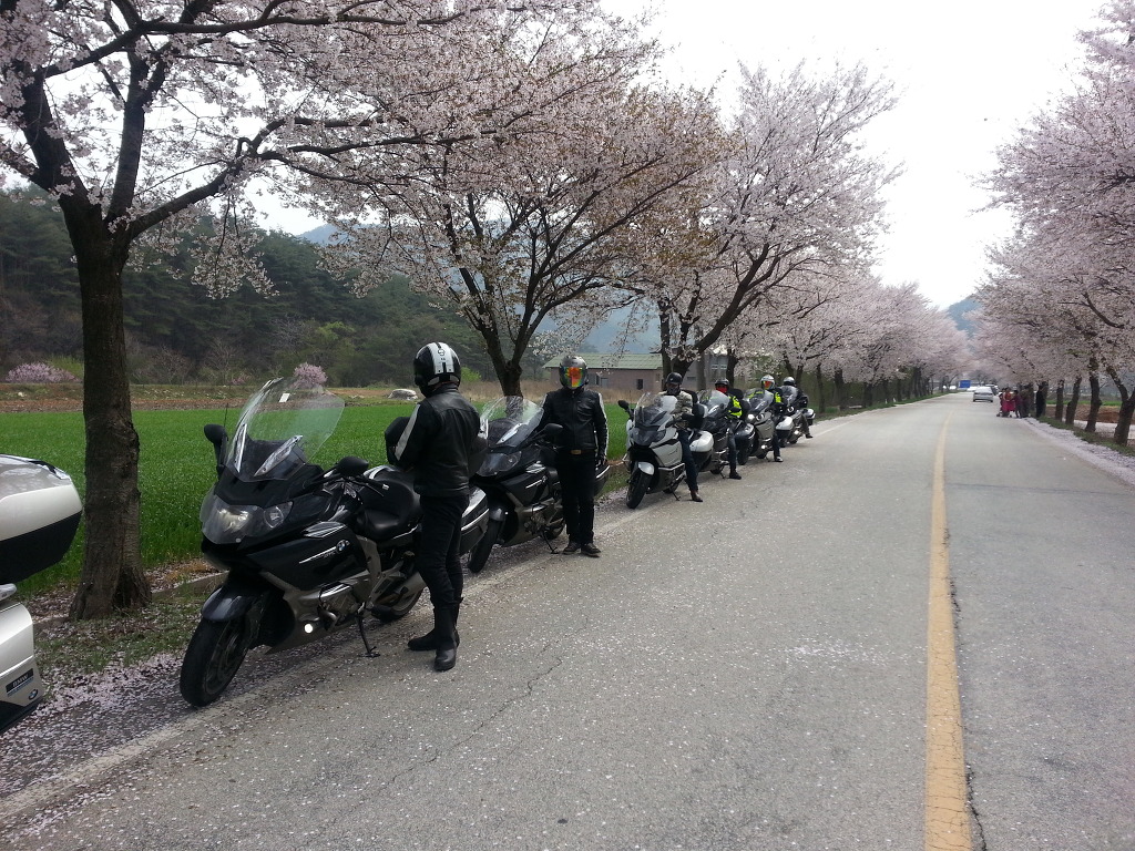 지티엘 이미지