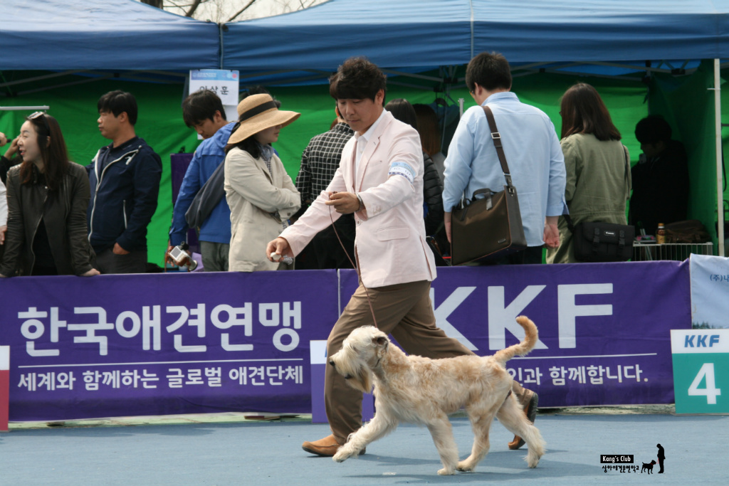 김재용애견미용학원 이미지