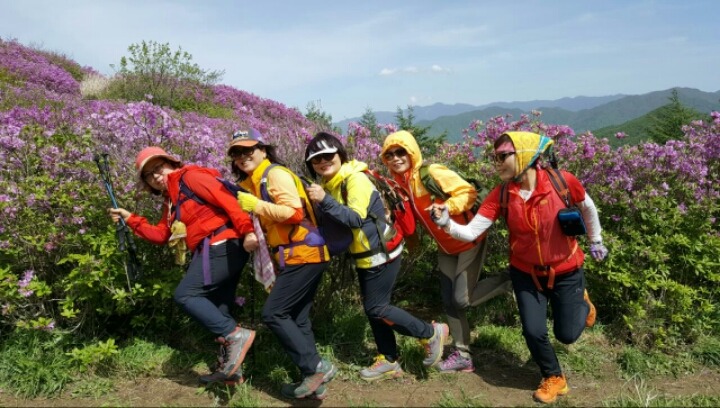 달구지 이미지
