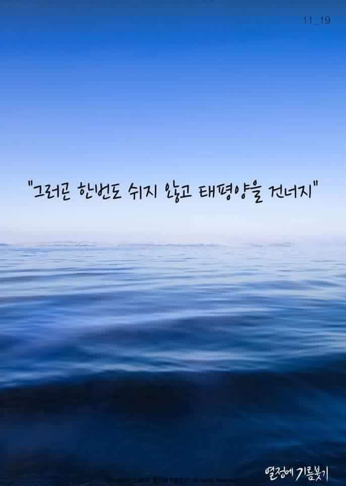 날개가 너무 커서 날지 못하는 새 | 인스티즈
