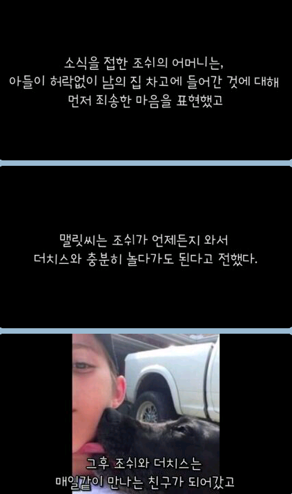 귀여운 무단침입자 | 인스티즈