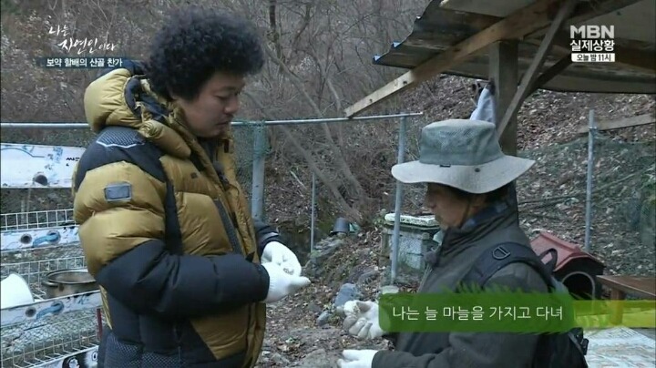 나는 자연인이다 마늘성애자 (마늘주의) | 인스티즈
