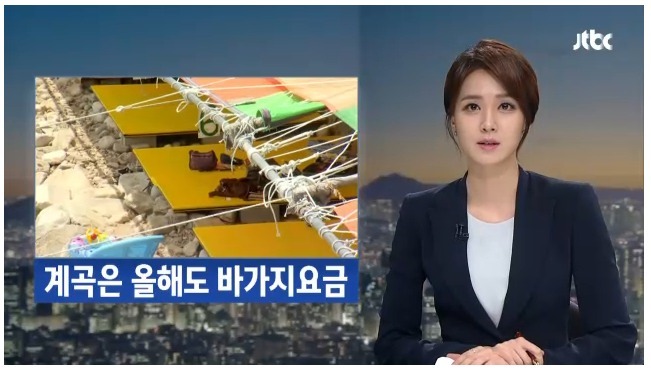 해외여행 늘어나는 이유 | 인스티즈