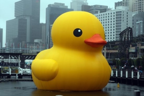 힉 이미지