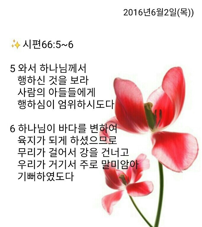 백향 이미지