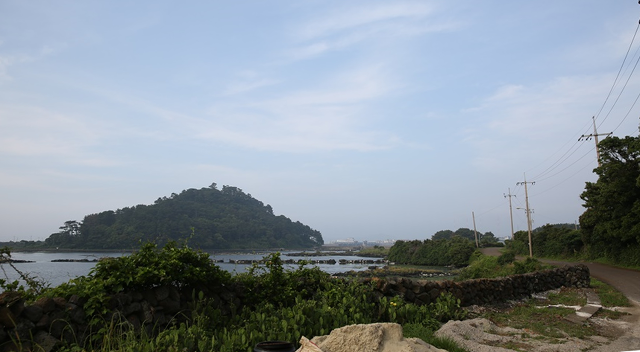 오조 이미지