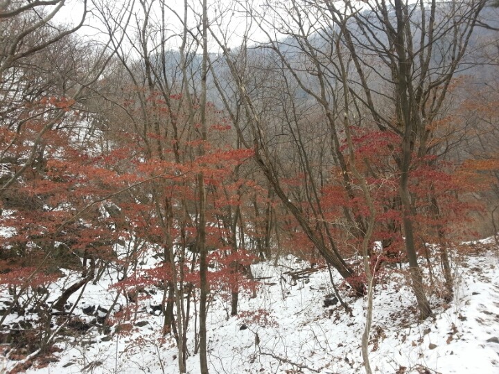 (주)알알알 이미지