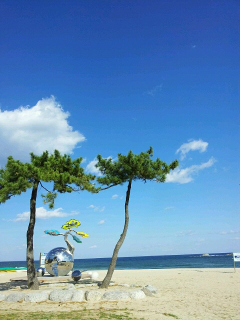 당일치기하기 좋은 강릉 | 인스티즈