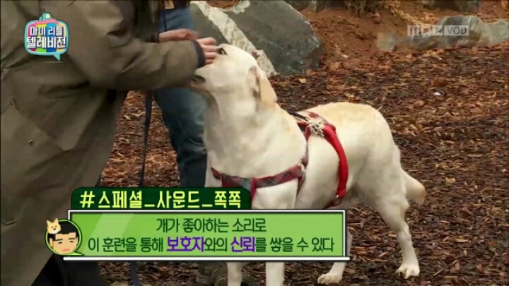 [마리텔] 조련당하는 민아 | 인스티즈