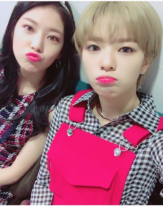 오늘자 유자매 | 인스티즈
