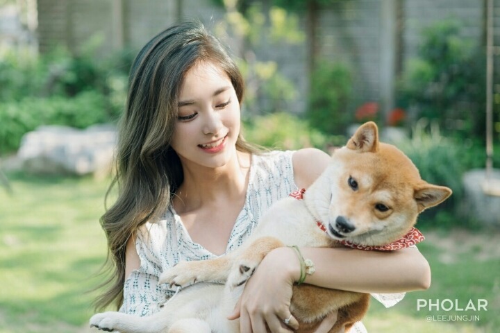 다 이미지